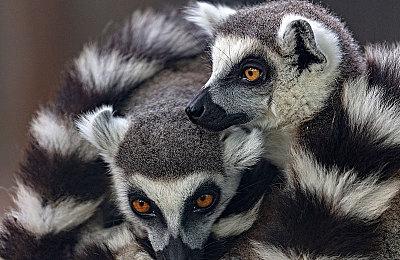 索尼曾要求旗下3A游戏MTC评分不低于90分